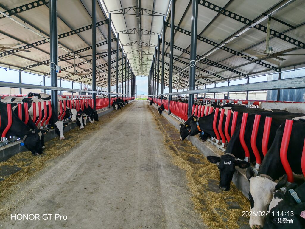 DGG Connects with Turkish Dairy Industry Through Farm Visits and Knowledge Exchange